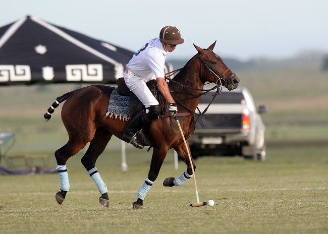 Copa Lady Godiva